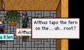 Althus hits up the fern