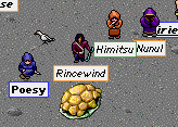 Rincewind shows us his tor shell.